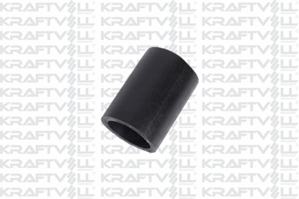 Charge Air Hose (10032669)
