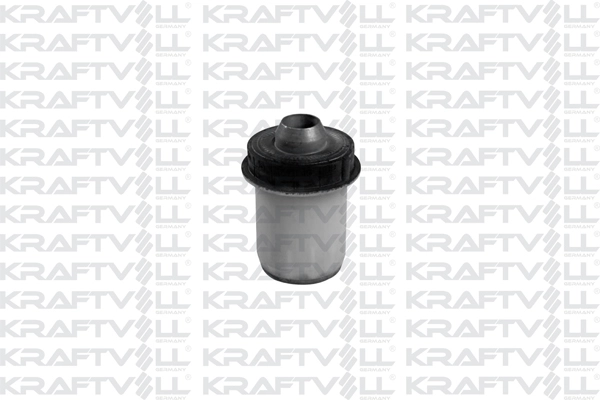 Bushing, axle beam (10050203)