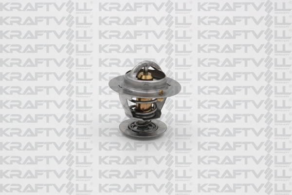 Thermostat, coolant (08110106)