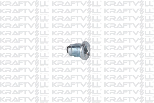 Screw Plug, oil sump (21030412)