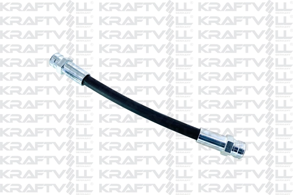 Brake Hose (07080169)