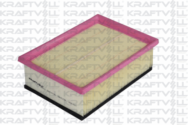 Air Filter (06010195)