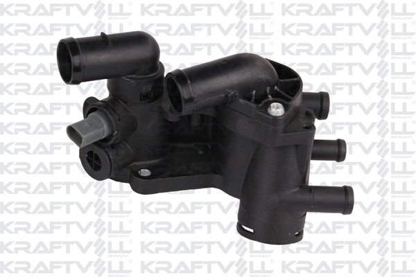 Thermostat, coolant (08100064)