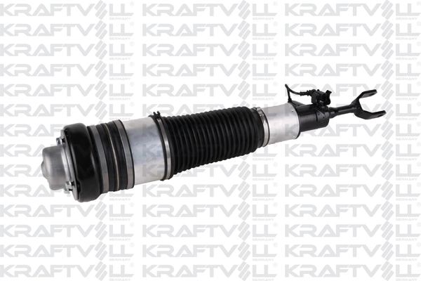 Air Suspension Strut (15060005)