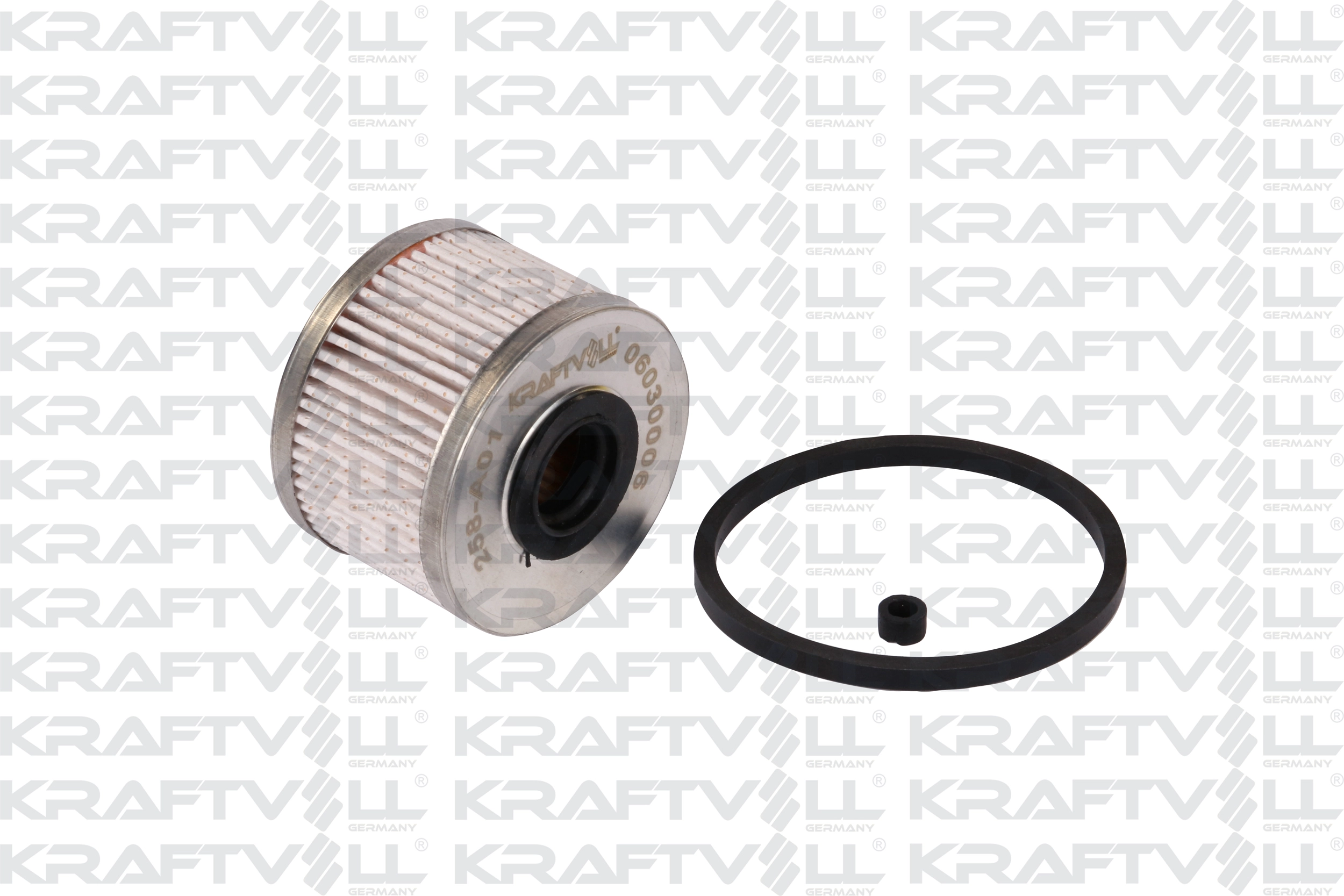 Fuel Filter (06030006)