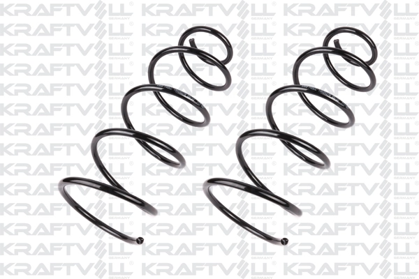 Suspension Spring (15020278)