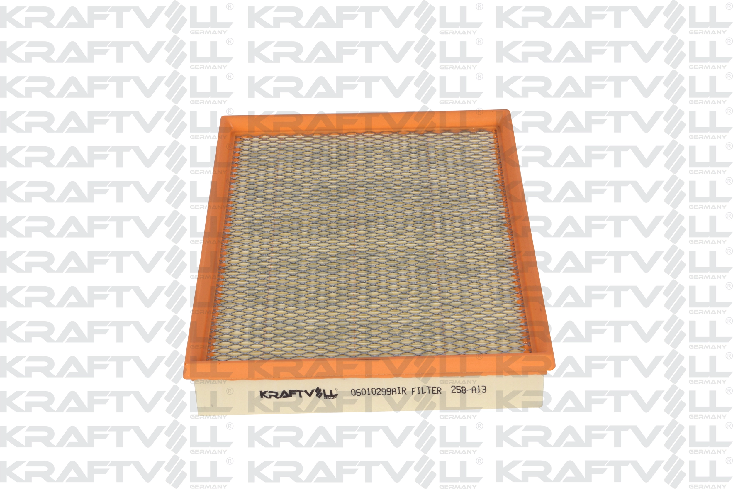 Air Filter (06010299)