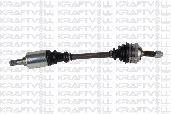 Drive Shaft (01010284)