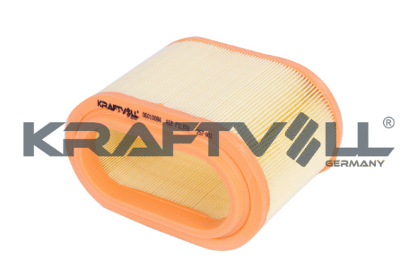 Air Filter (06010084)