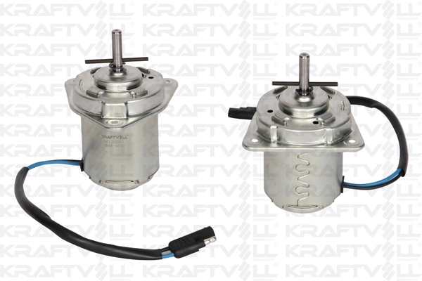 Electric Motor (08120001)