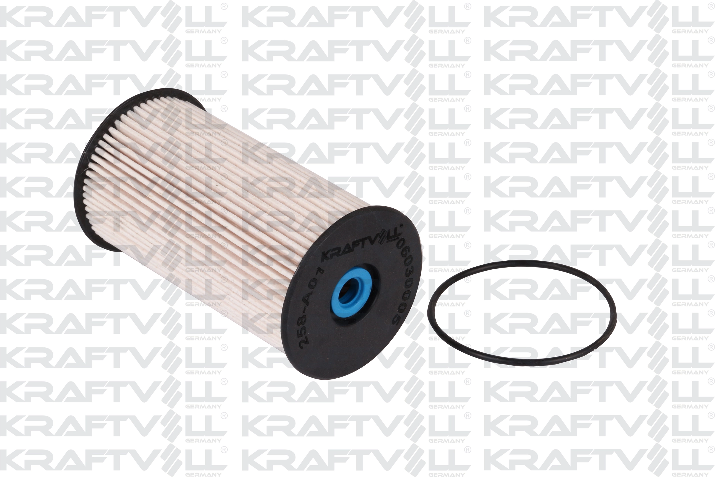 Fuel Filter (06030005)