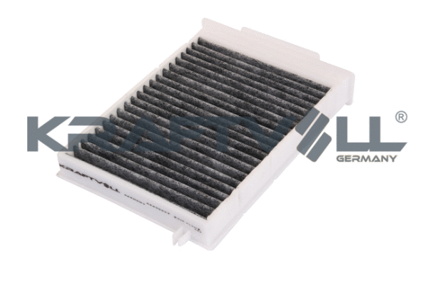 Filter, cabin air (06040029)
