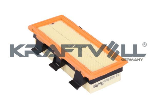 Air Filter (06010068)