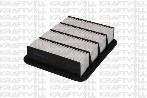 Air Filter (06010138)