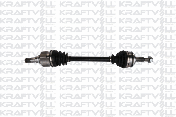 Drive Shaft (01010178)