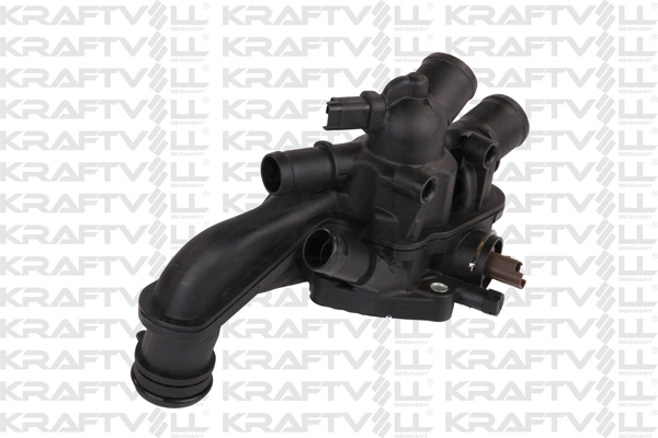 Thermostat, coolant (08100087)