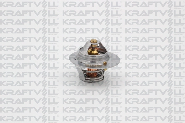 Thermostat, coolant (08110095)