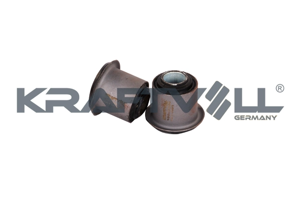 Mounting, control/trailing arm (10050034)