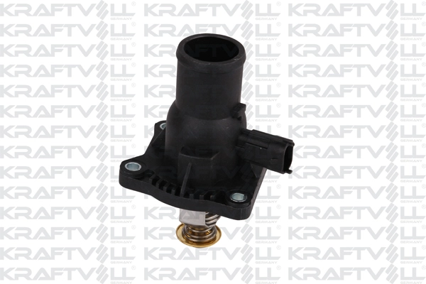 Thermostat, coolant (08100050)