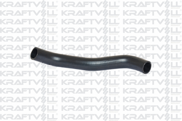 Radiator Hose (10031445)