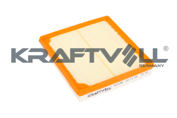 Air Filter (06010086)