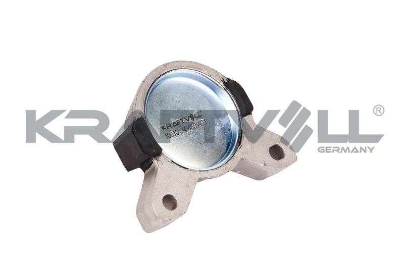 Mounting, engine (10010134)