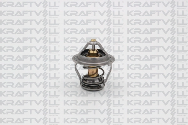Thermostat, coolant (08110060)