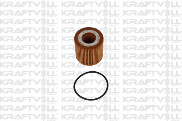 Air Filter (06010051)