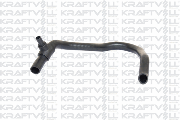 Radiator Hose (10031321)