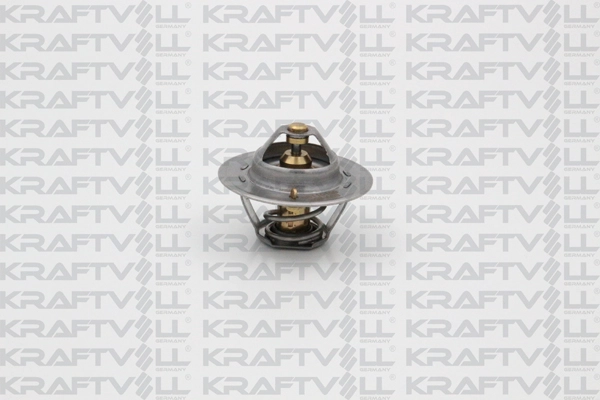 Thermostat, coolant (08110109)