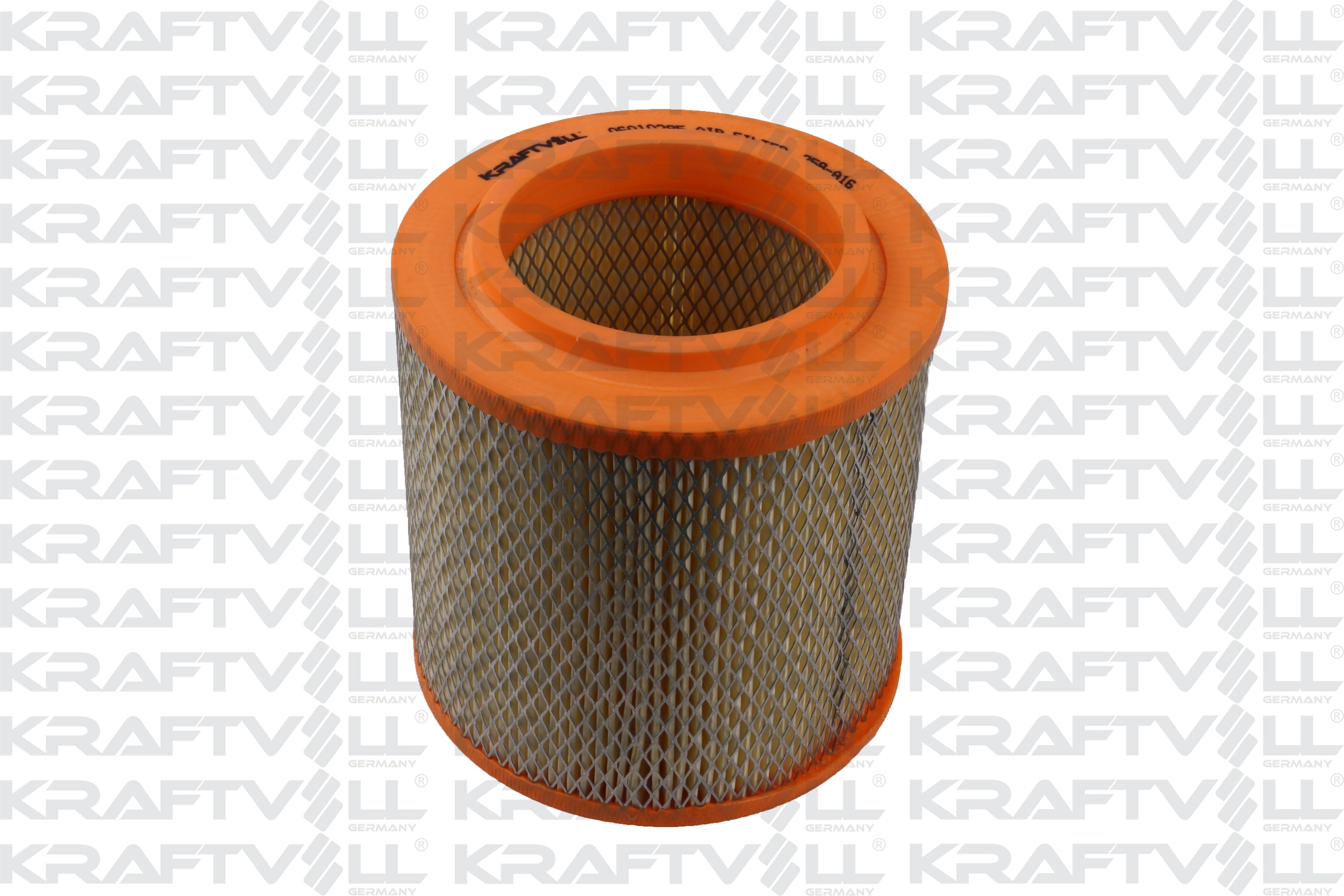 Air Filter (06010285)