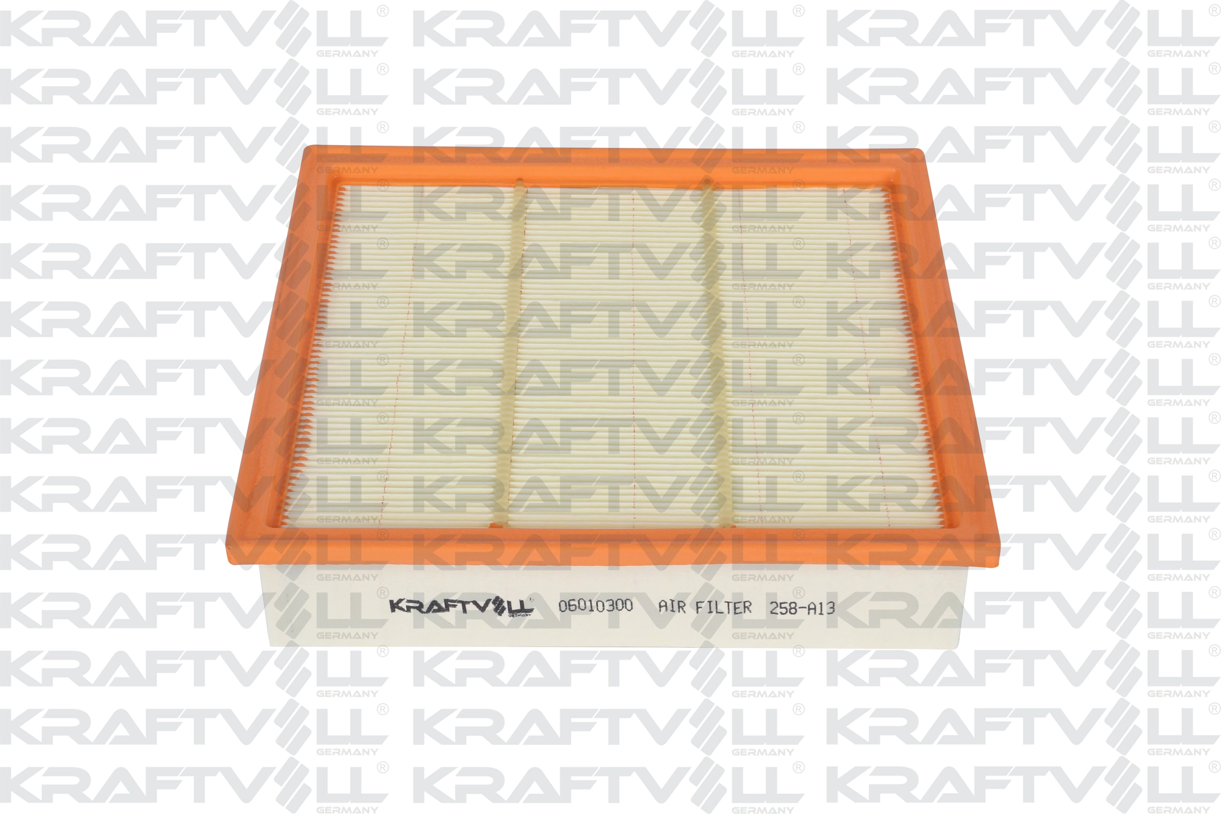 Air Filter (06010300)