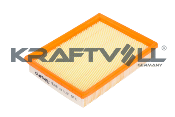 Air Filter (06010063)