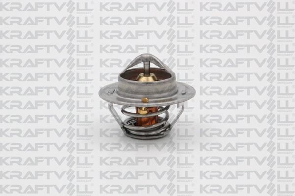 Thermostat, coolant (08110114)