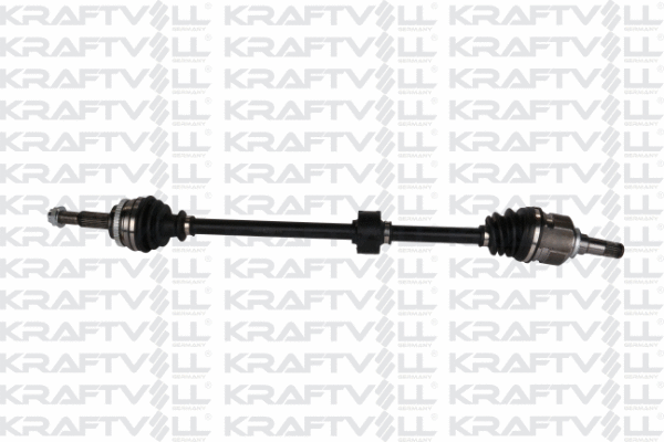Drive Shaft (01010163)