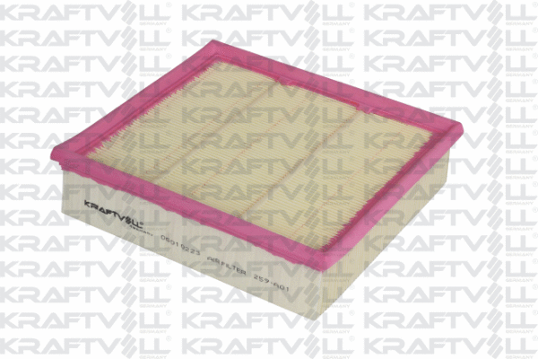 Air Filter (06010223)