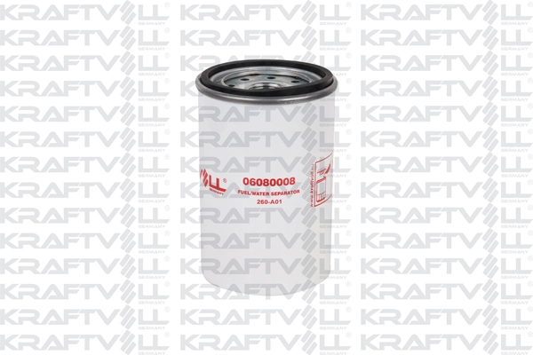 Fuel Filter (06080008)