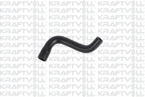 Radiator Hose (10032037)