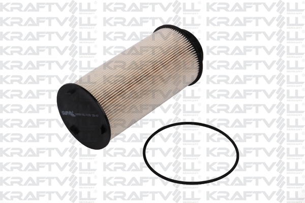 Fuel Filter (06080009)