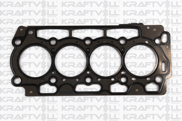 Gasket, cylinder head (12010002)