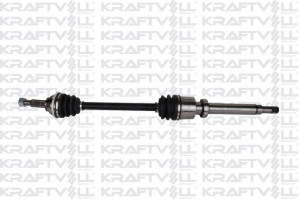 Drive Shaft (01010157)