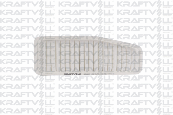 Air Filter (06010263)