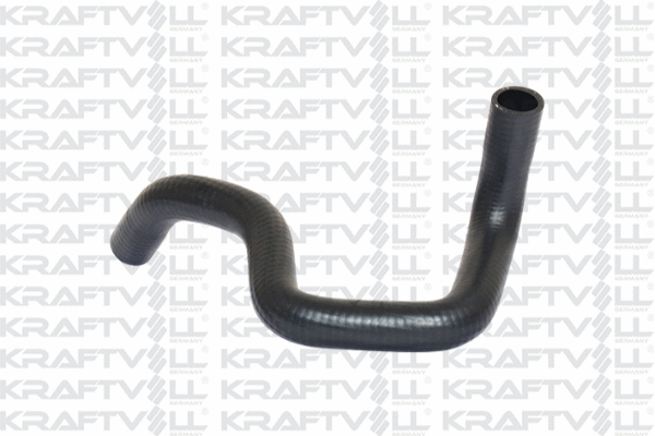 Radiator Hose (10031360)