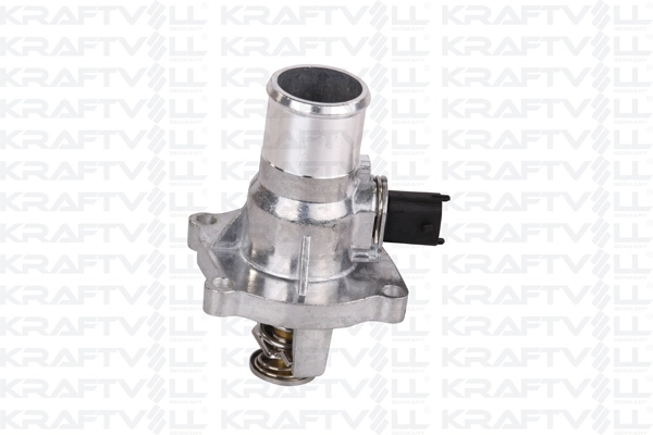 Thermostat, coolant (08100094)
