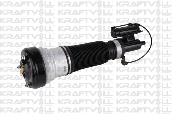 Air Suspension Strut (15060047)
