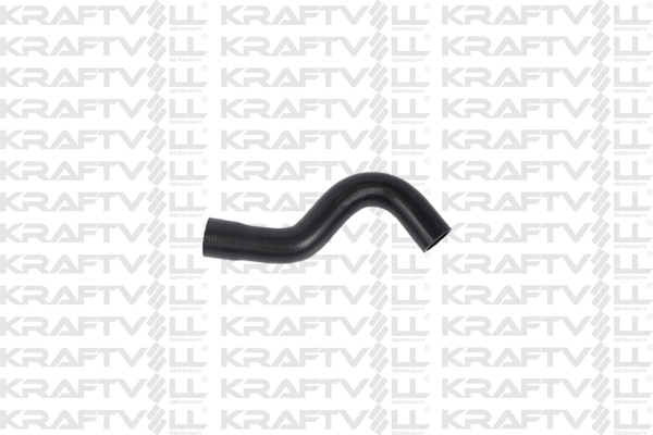 Radiator Hose (10034916)