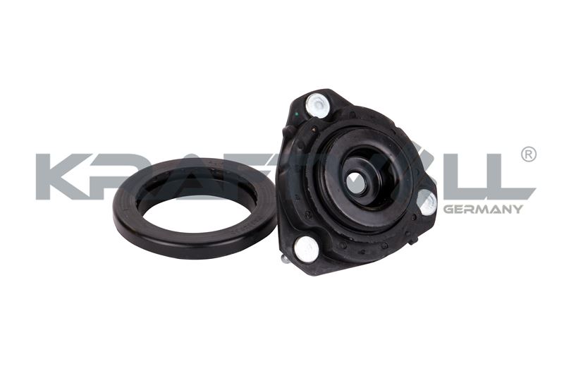 Repair Kit, suspension strut support mount (10010196)