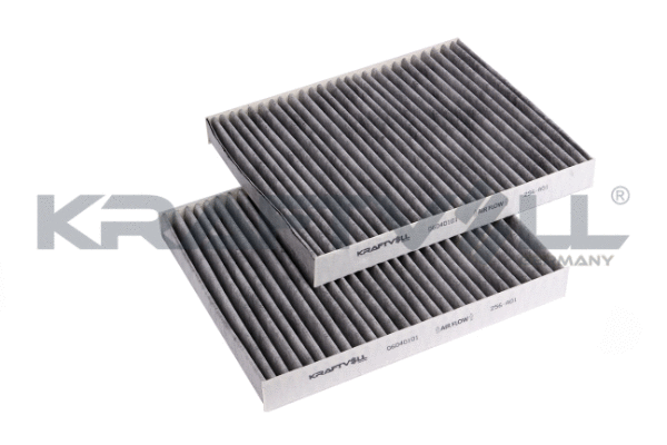 Filter, cabin air (06040101)