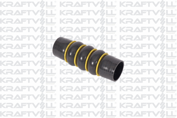 Charge Air Hose (10030919)