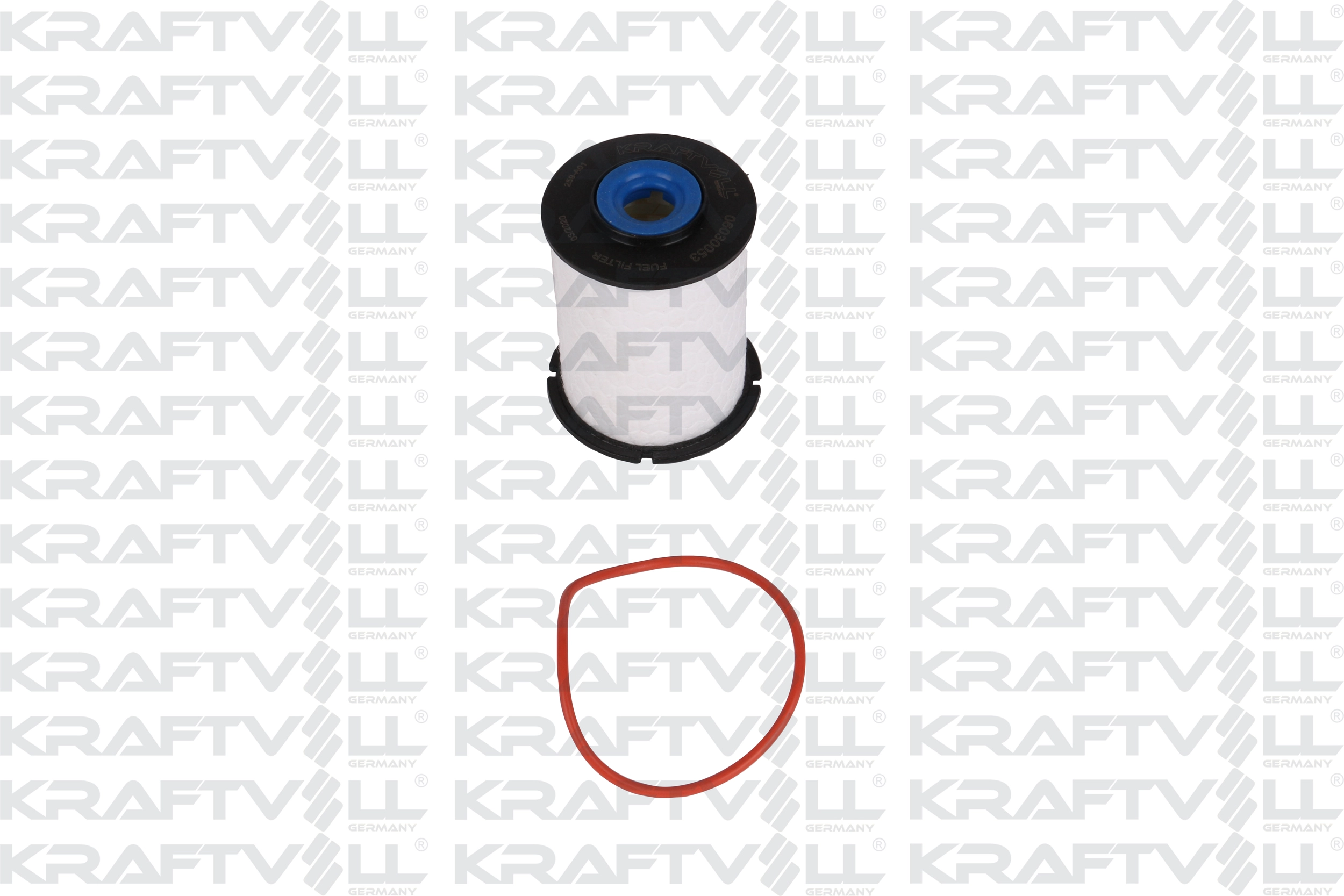 Fuel Filter (06030053)